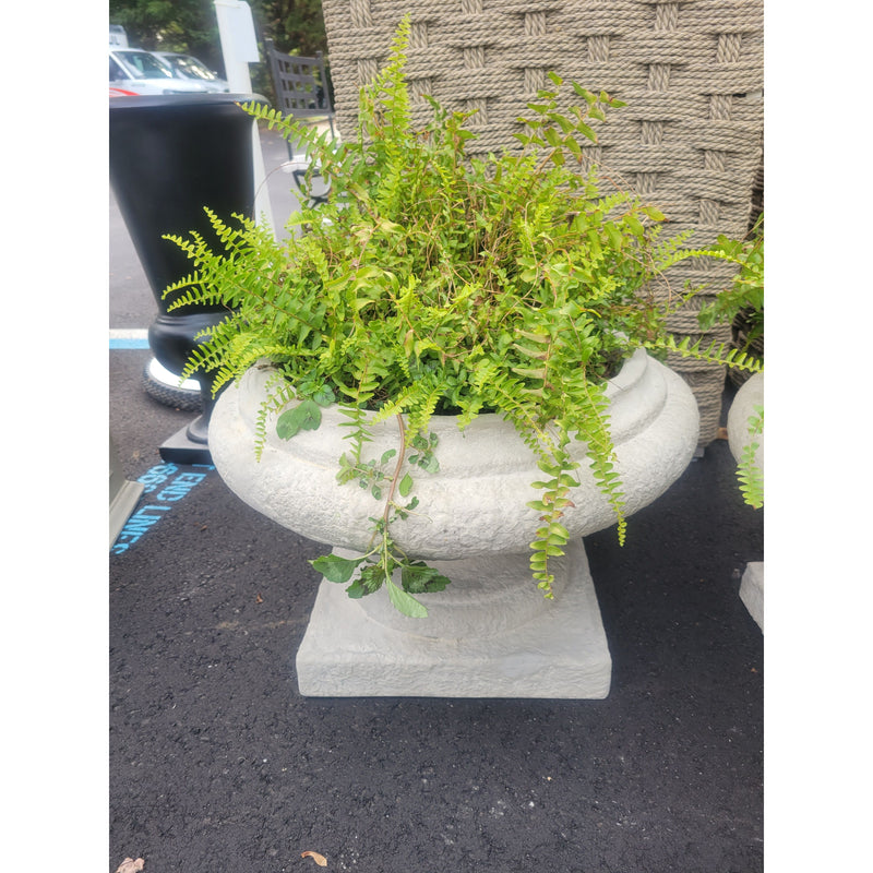 'Jacinth' Roman Style Reconstituted Stone Planter by Made Goods w/ Fern
