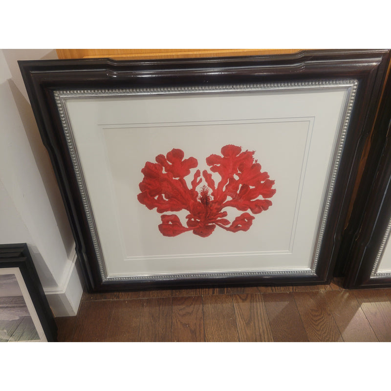 SET of 3 Coral Prints w/ Studded Black Frames