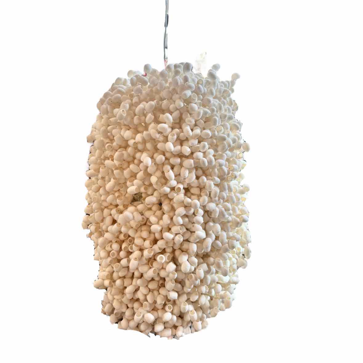 Ango Cascadence Silk Cocoon Chandelier