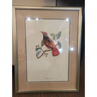 PAIR of Bird Prints by Jean Theodore Descourtilz in Silver Frames