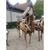 Driftwood Horse by Franco Cuttica