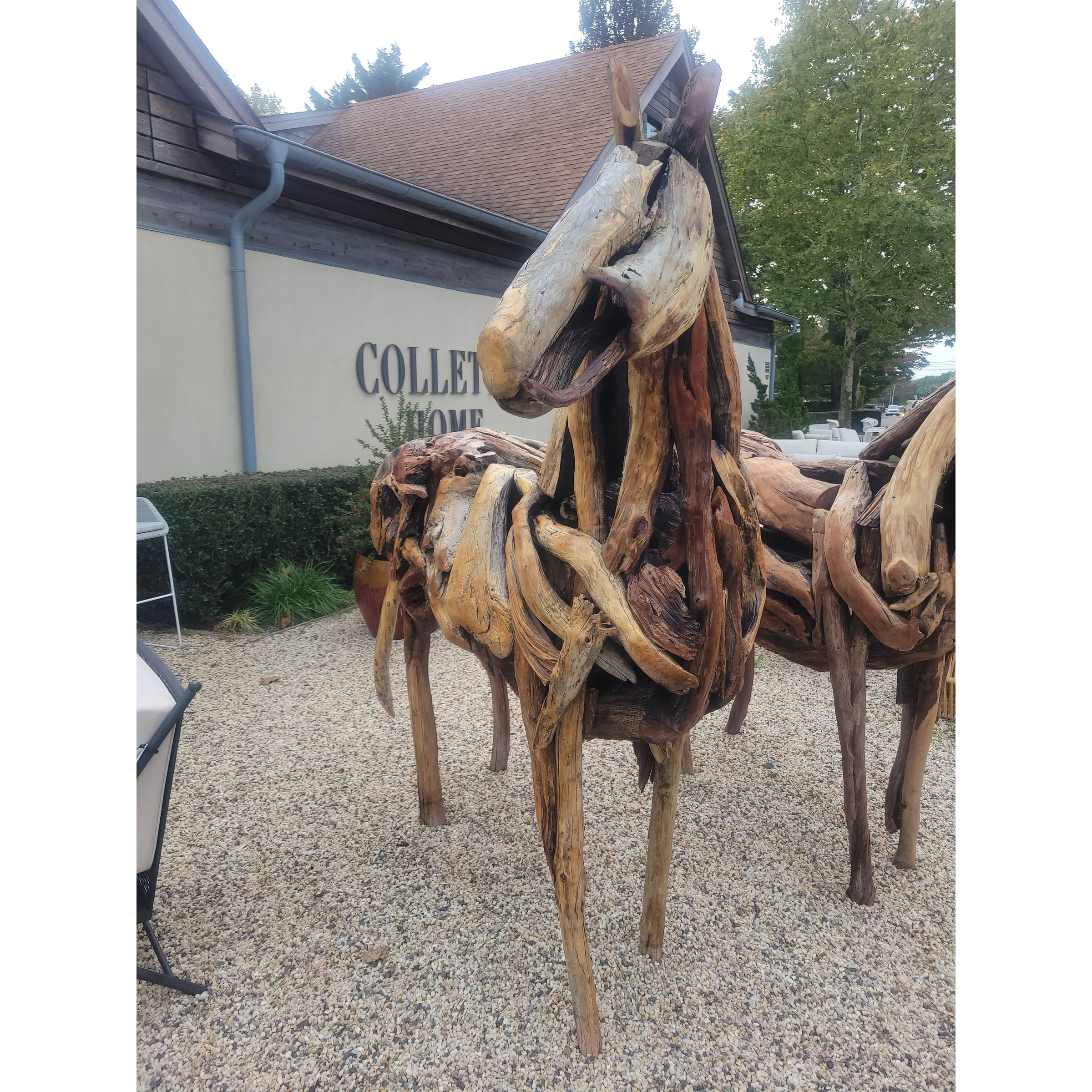 Driftwood Horse by Franco Cuttica