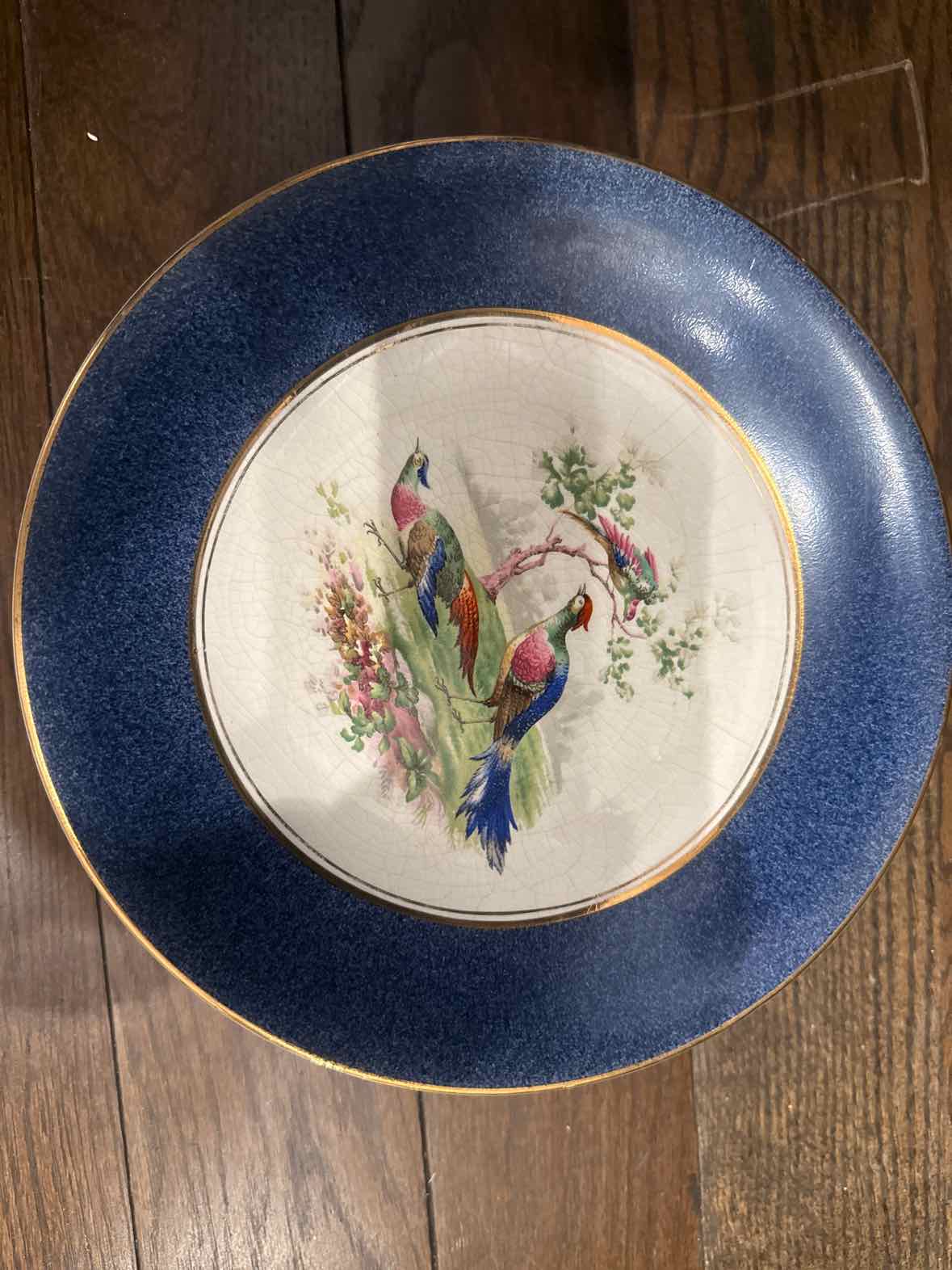 Set of 12 Vintage English Wedgewood Colbalt Rim w/Pheasants Plates, 9.18" Dia