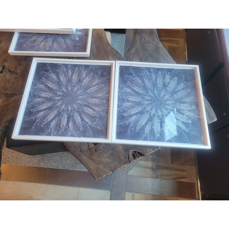 PAIR of Concentric Fish Metallic Prints in White Frames