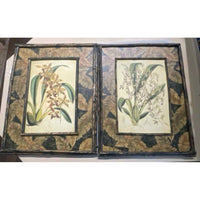 Pair of Antique Style Bamboo Framed Botanical Prints, 17.25"L x 1.5"W x 22.5"H - colletteconsignment.com