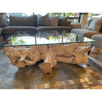 Bleached Teak Live Edge Coffee Table w/ Square Glass Top - colletteconsignment.com