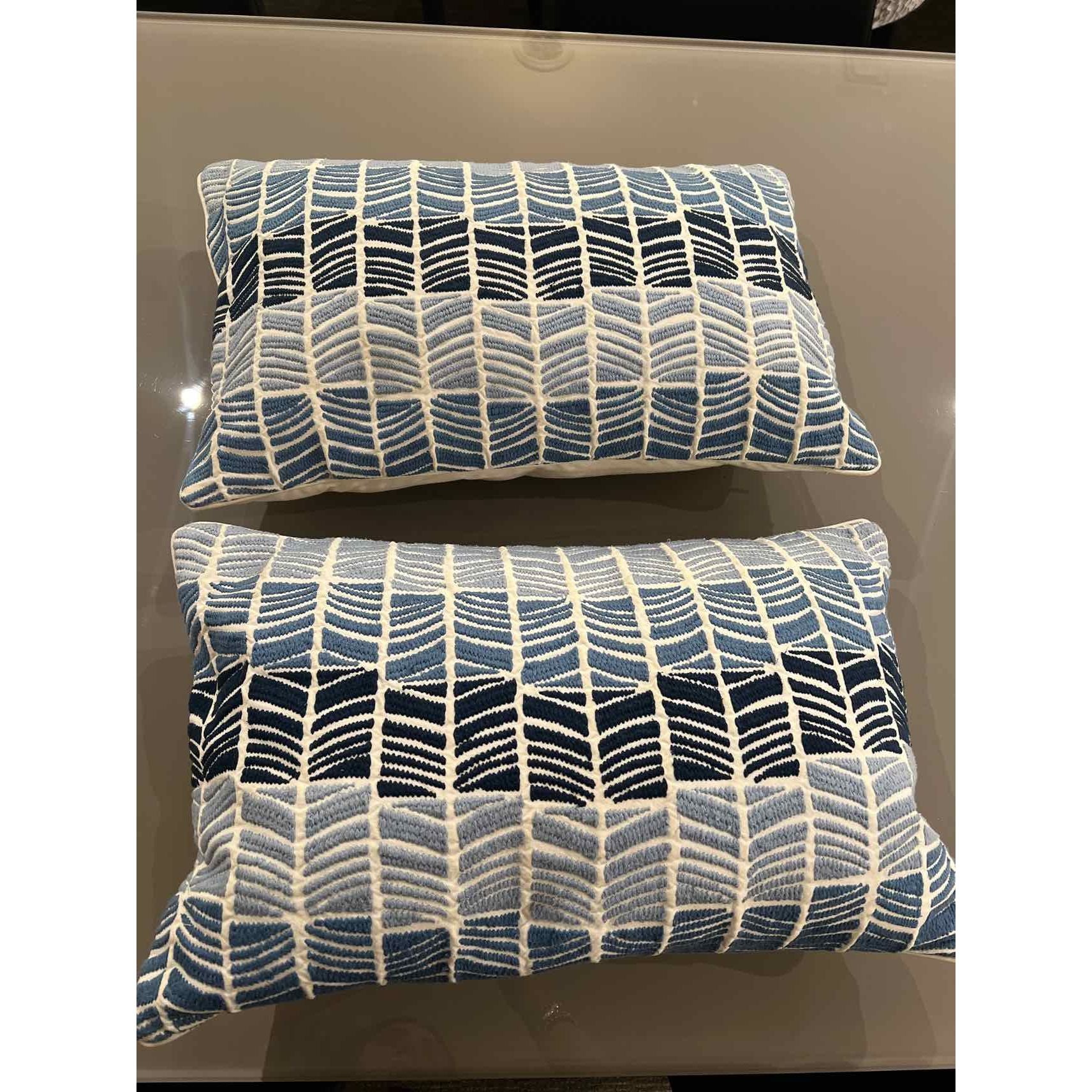 Pair of Blue & White Pillows