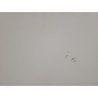 Contemporary White Wood Dovetailed 8-Drawer Dresser (As Is)