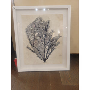 Black Sea Fan Print in White Frame (AS IS)