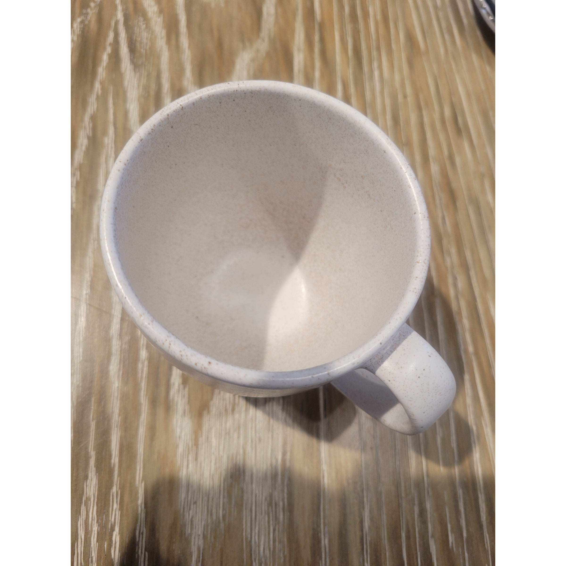 Pacifica Casafina Mug by Costa Nova