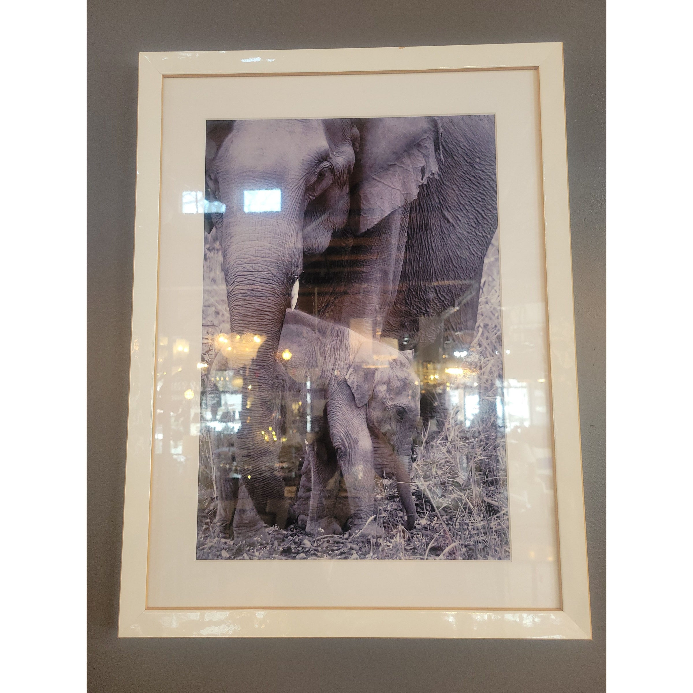 Elephant Parent & Child Photo in White Frame - colletteconsignment.com