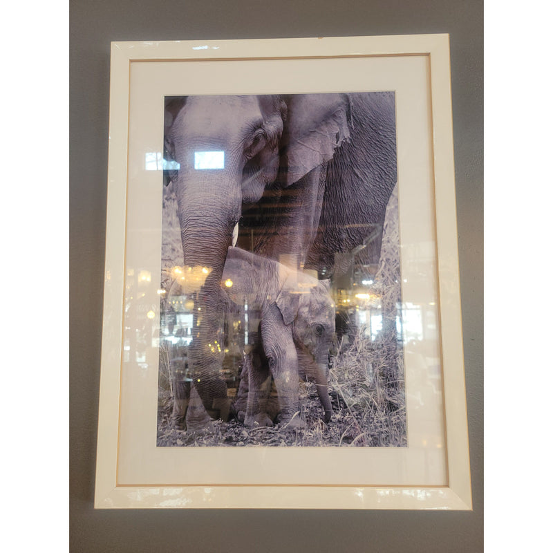 Elephant Parent & Child Photo in White Frame - colletteconsignment.com