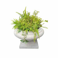 'Jacinth' Roman Style Reconstituted Stone Planter by Made Goods w/ Fern