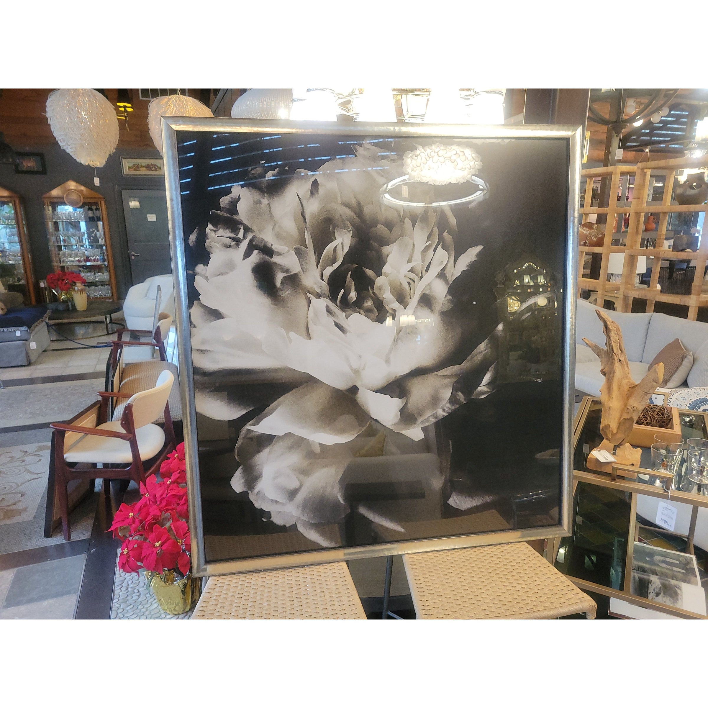 "Michelle" Floral Photograph by Ashley Woodson Bailey