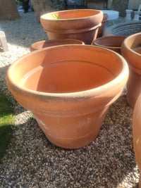 Medium Terracotta Clay Planter