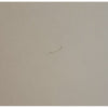 White Painted Carved Wood Floor Lamp w/Shade