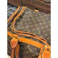 Louis Vuitton Dog Carrier