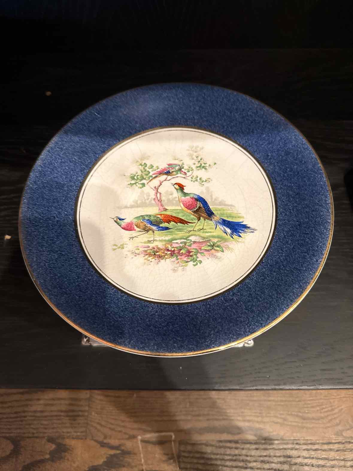 Set of 12 Vintage English Wedgewood Colbalt Rim w/Pheasants Plates, 9.18" Dia