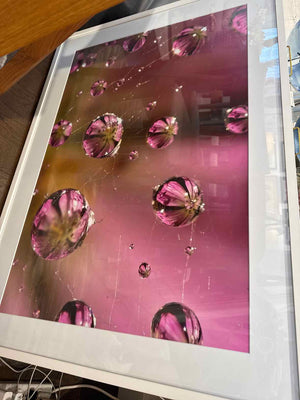 'Who Knew a Web' Print in White Frame