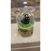 Mini Black Bear Snowglobe