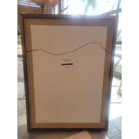 Tree Roots Photograph in Black Frame