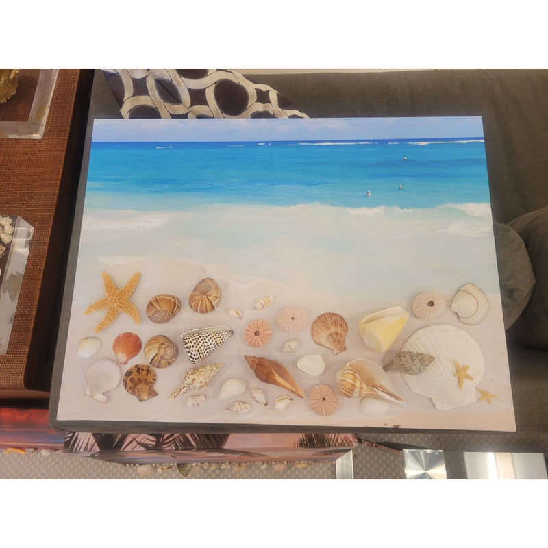 Caribbean Shells on Beach Shoreline Canvas
