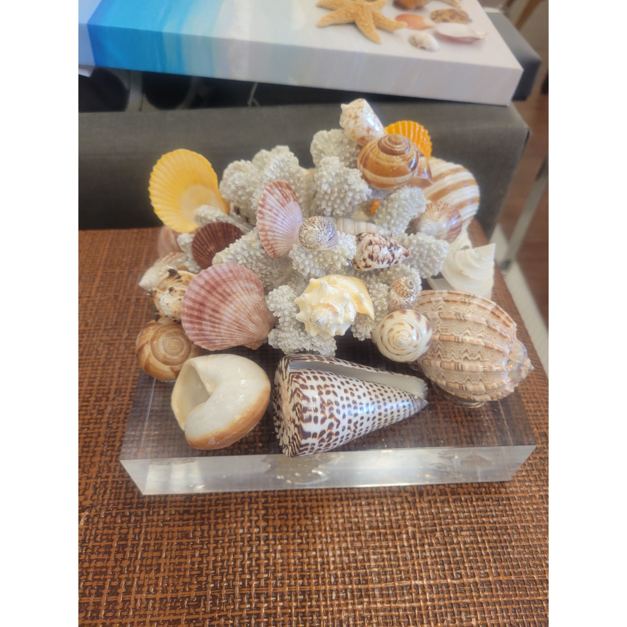 Brown Caribbean Shells & Coral Sculpture on Lucite Base