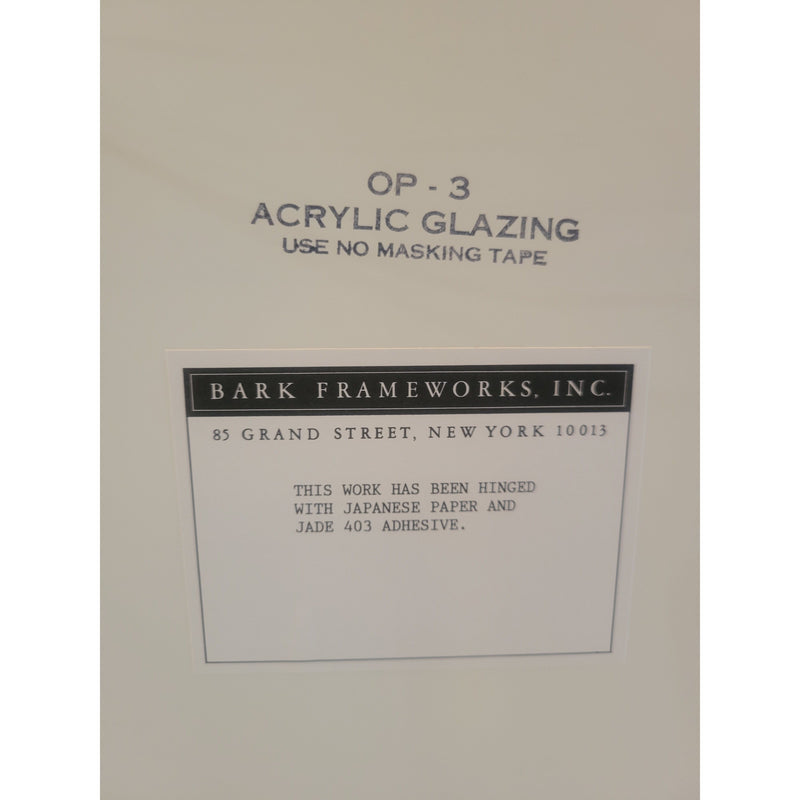 Tree Roots Photograph in Black Frame