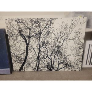 Tree Silhouette on White Canvas Print