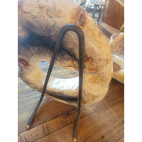 Petrified Wood Ring Sculpture on Iron Stand