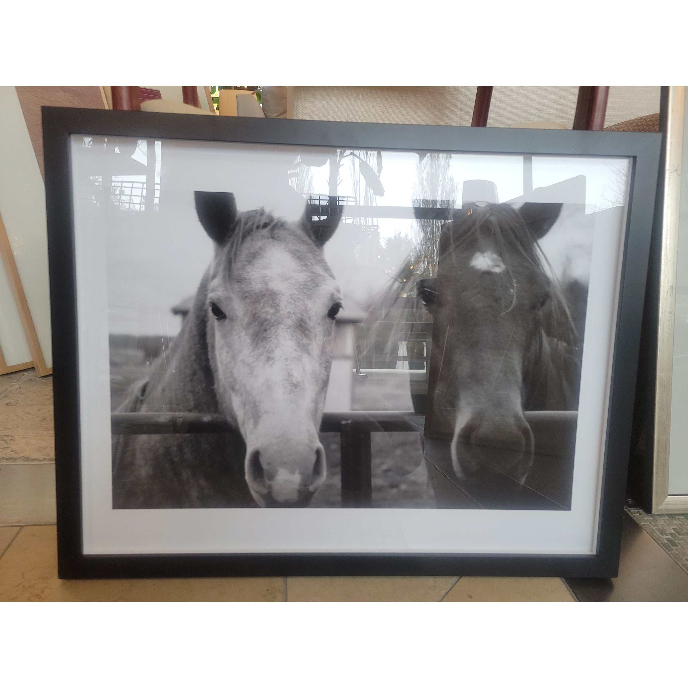Black & White Horses Photograph in Black Frame