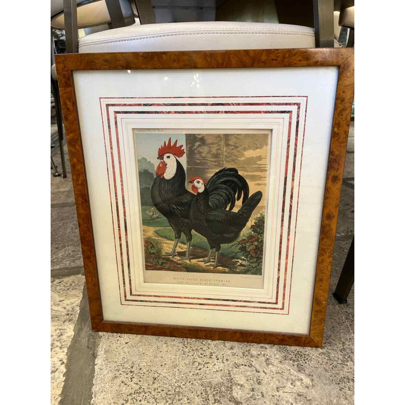 Framed and Matted Roosters