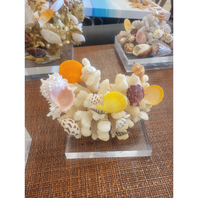 Yellow Caribbean Shells & Coral Sculpture on Lucite Base