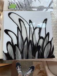Black & White Hen Feathers Plexiglass Print