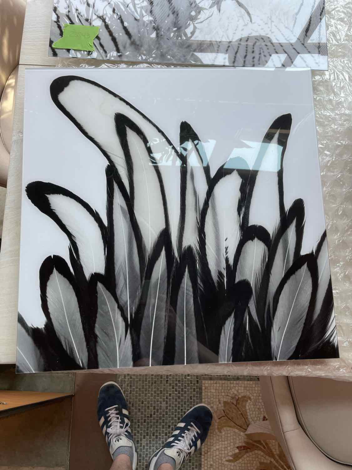 Black & White Hen Feathers Plexiglass Print