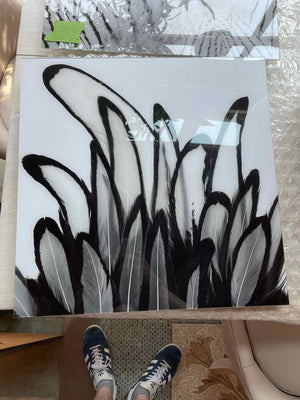 Black & White Hen Feathers Plexiglass Print