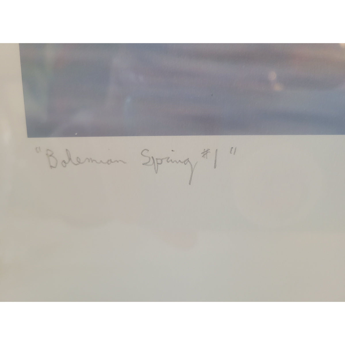 'Bohemian Spring #1' L.E. Print of 15 by Peter Margonelli in White Frame - colletteconsignment.com