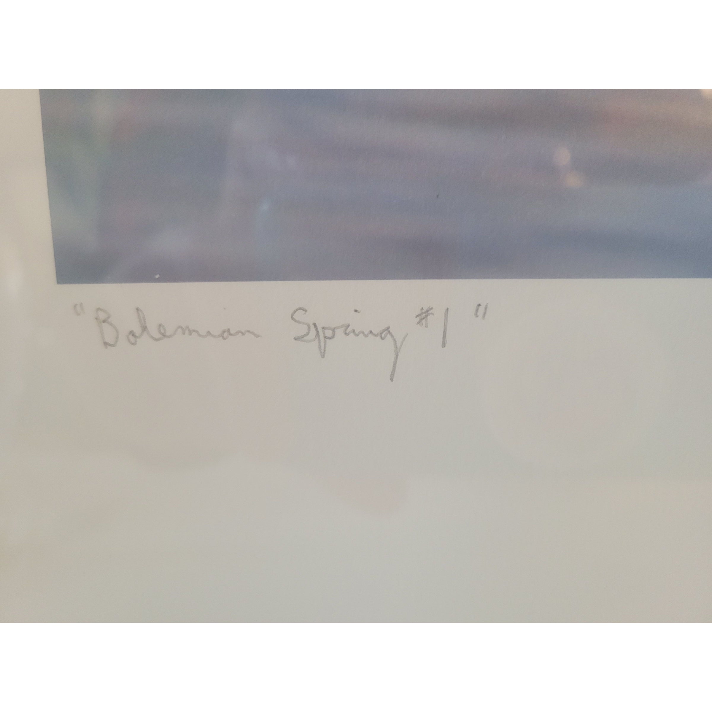 'Bohemian Spring #1' L.E. Print of 15 by Peter Margonelli in White Frame - colletteconsignment.com