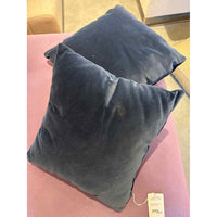 Pair of Blue Velvet Pillows