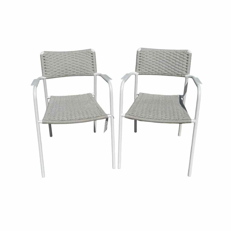 Pair of Echo Dining Armchairs in Silver - colletteconsignment.com