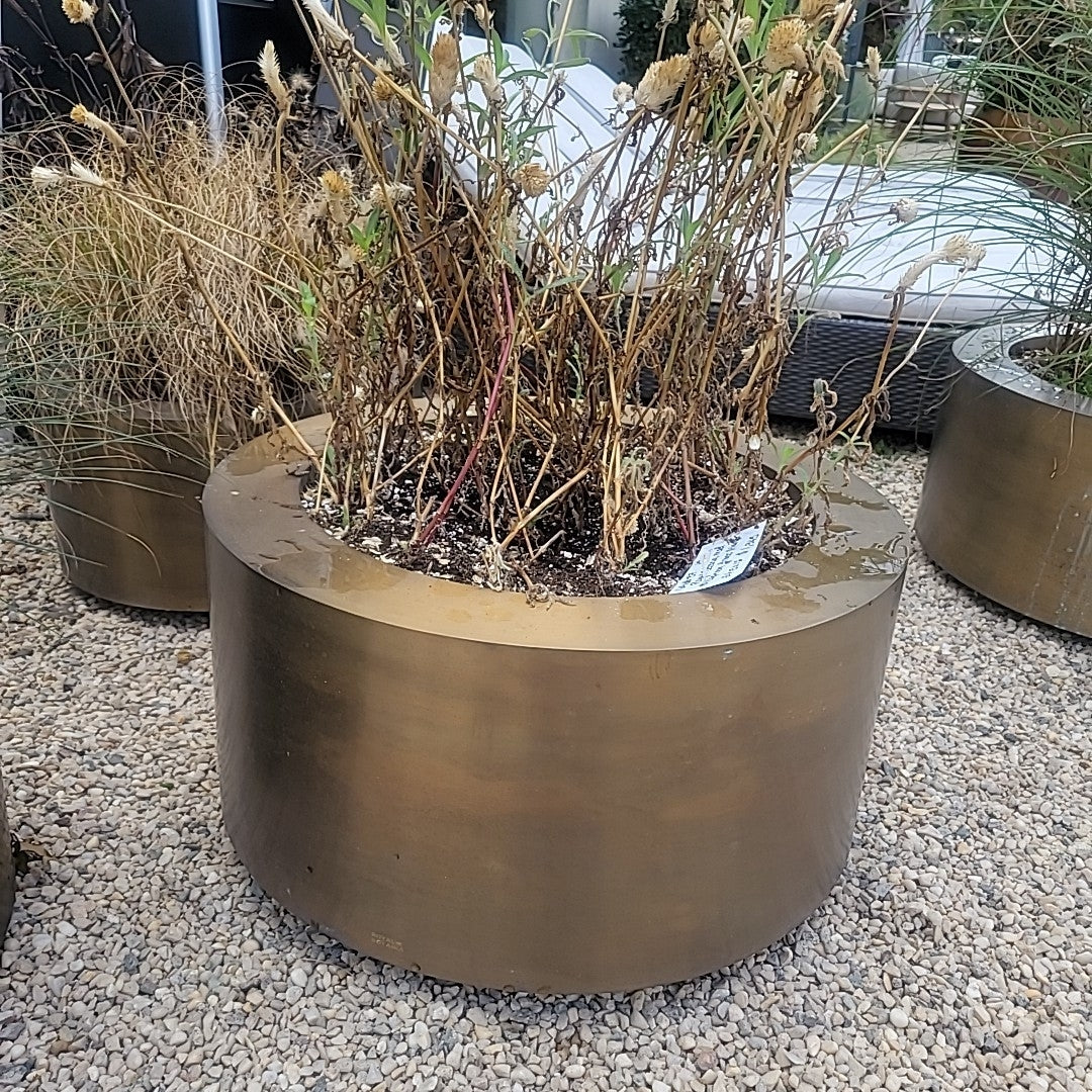 Royal Botania Medium "Cuprum" Round Weathered Brass Planter - colletteconsignment.com