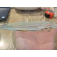 Frosted Satin Glass Charger w/ Gold Leaf Trim by Annieglass (AS IS)