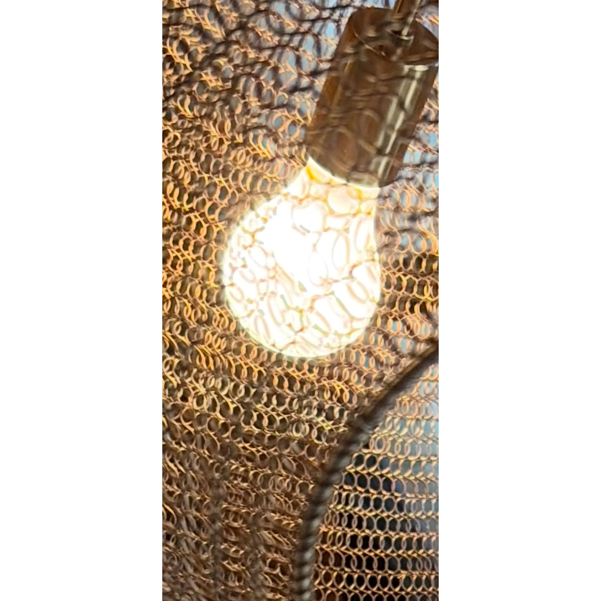 Antique Brass Net 3-Light Chandelier (AS IS)