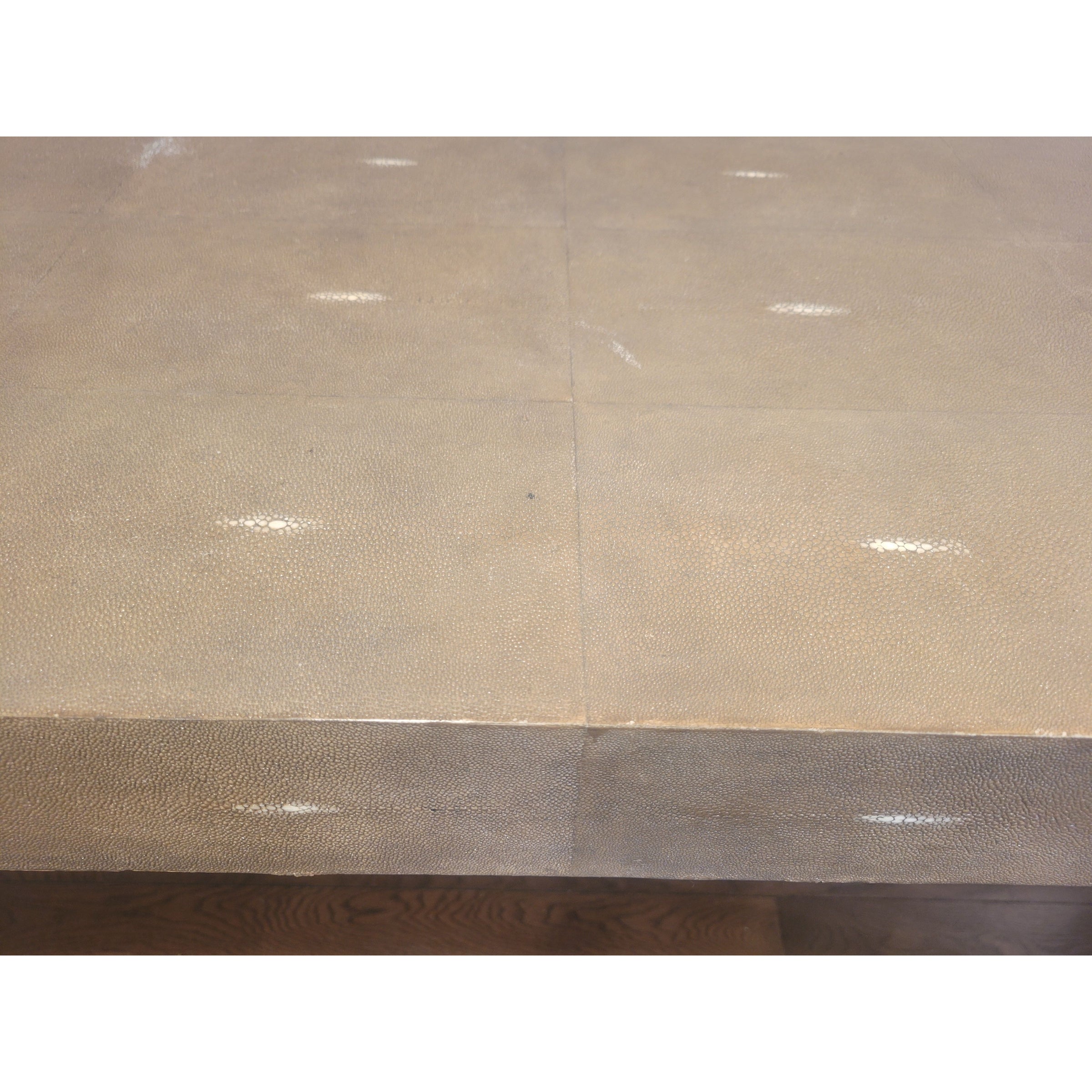 Stingray Shagreen Console Table w/ Bronze Patina Legs by R&Y Augousti (AS IS)