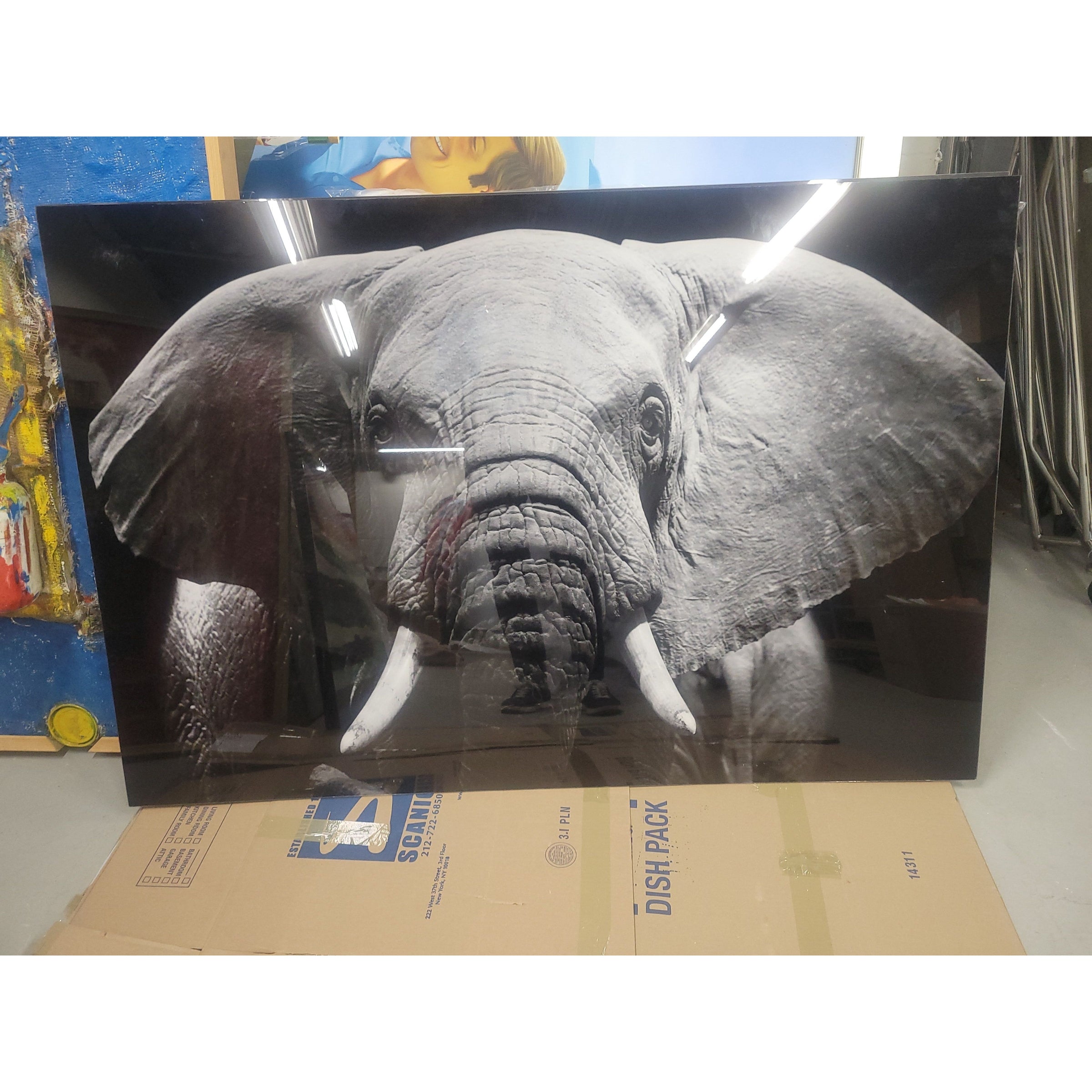 Black & White Elephant Photo on Acrylic