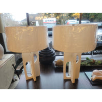 PAIR of 'Tevin' Resin Table Lamps w/ Shades by Arteriors