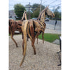 Driftwood Horse by Franco Cuttica