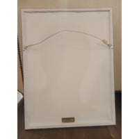PAIR of Bird Prints by Jean Theodore Descourtilz in Silver Frames