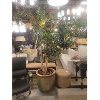 Large Green Clay Planter