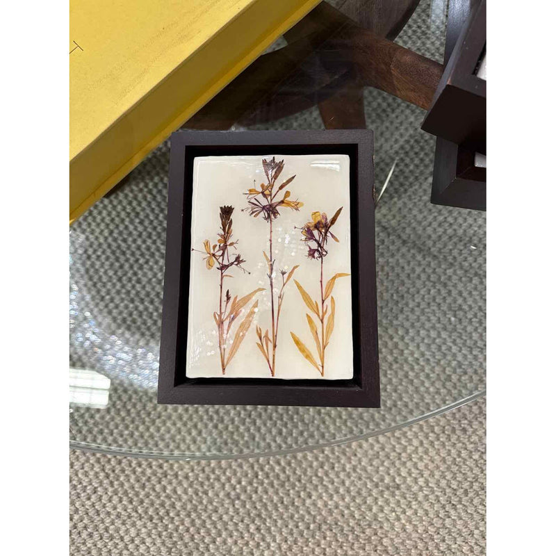 Small Lacquered Botanical in Dark Wood Frame